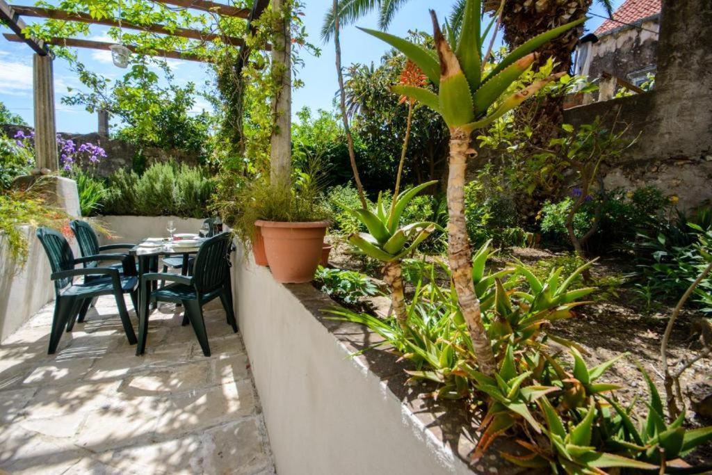 Stella City Center Accommodation Dubrovnik Bagian luar foto