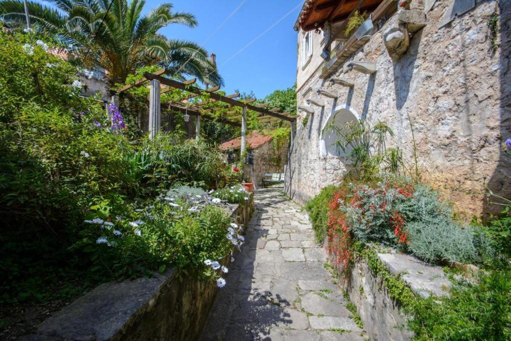 Stella City Center Accommodation Dubrovnik Bagian luar foto